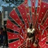 dc_carnival_2007_pt1-031