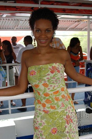 flight_cruise_apr07-010