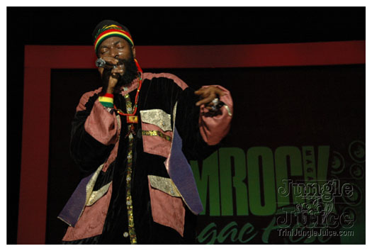 jamrock_reggae_fest07_pt2-144