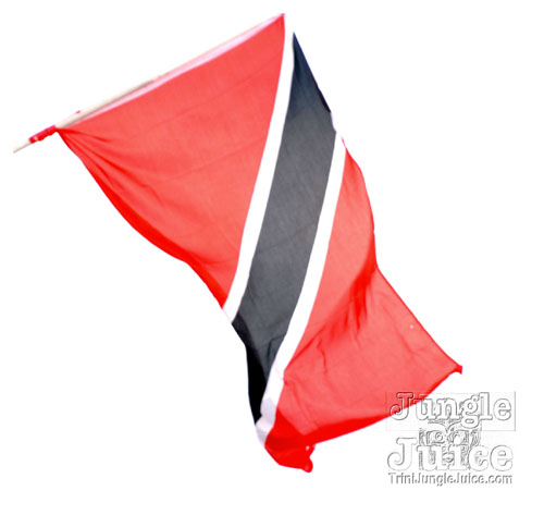 miami_carnival_2007_pt1-058