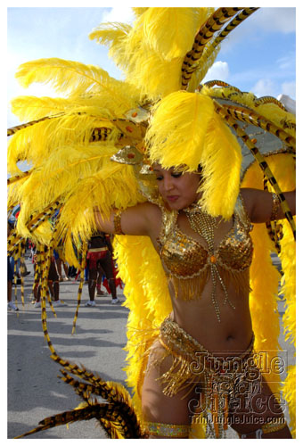 miami_carnival_2007_pt1-241