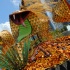 miami_carnival_2007_pt1-042