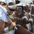 miami_carnival_2007_pt1-364