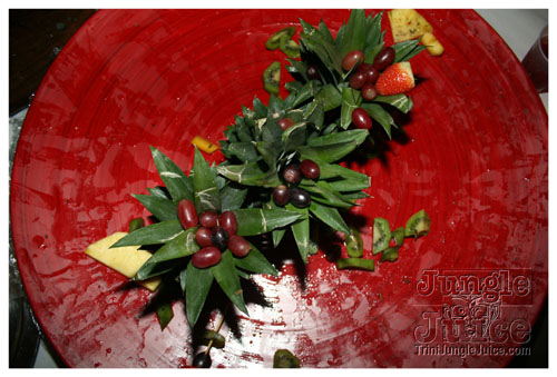 rango_christmas_gala_2007-080