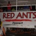 redants_jouvert_2007-004