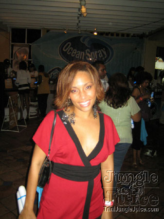 republic_all_incl_2007-23