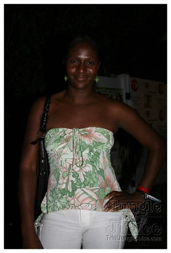 sg2007_release_sw_poolparty-031