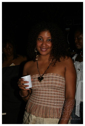 sg2007_release_sw_poolparty-080