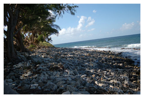 stlucia_food_rum_2007_fri-012