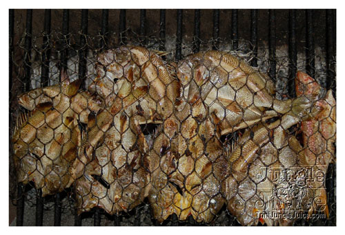 stlucia_food_rum_2007_fri-069