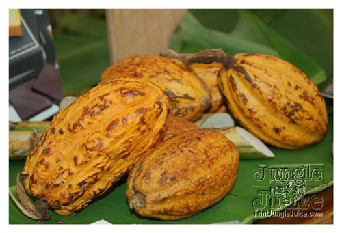 stlucia_food_rum_2007_sun-094