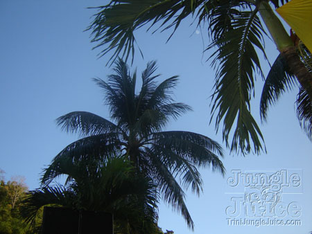 sunny_side_up_2007-006