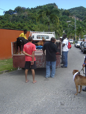 sunny_side_up_2007-100