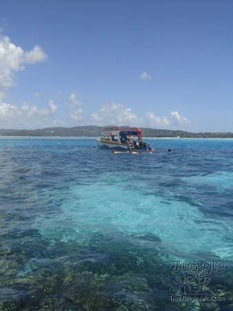 06-tobago_cool_down_2007-10