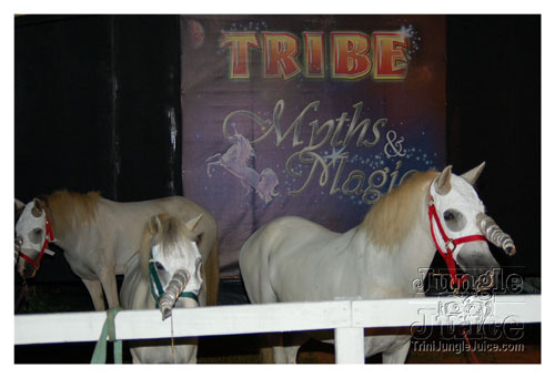 tribe_2k8_launch-003