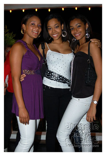 under_the_mistletoe_2007-018