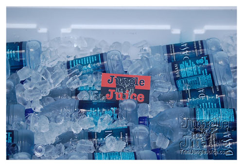 atlcarnival_parade2008-182