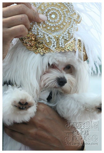 sundazeboatride_jun8-009