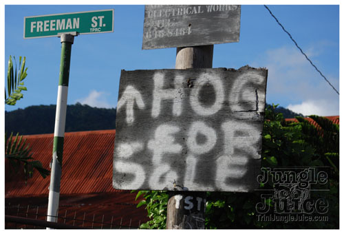 beach_house_carnival_2008_pt1-001