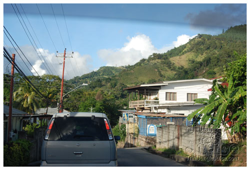 beach_house_carnival_2008_pt1-002