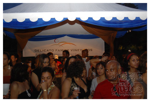 beach_house_carnival_2008_pt2-014