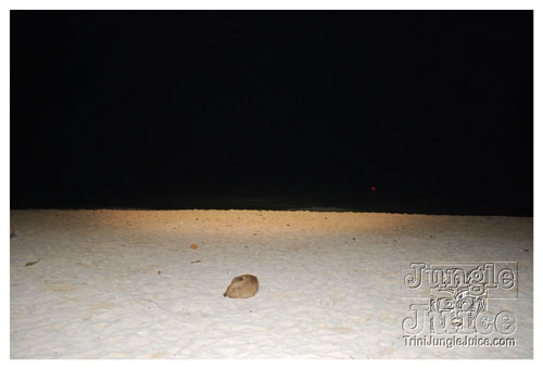 beach_house_sat_launch_nov01-034