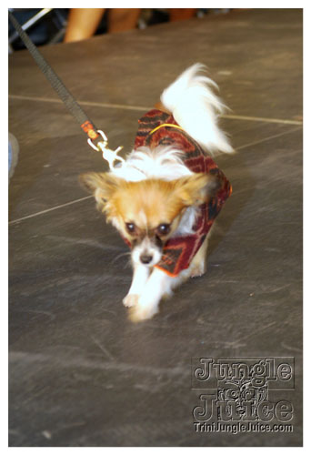 bk_fashion_week_oct2k8-117