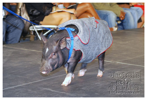 bk_fashion_week_oct2k8-118