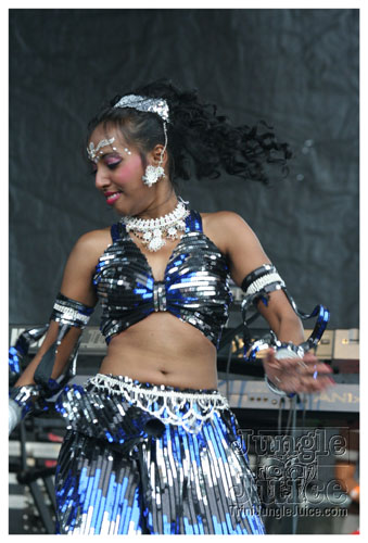 chutney_in_de_park_aug10-019