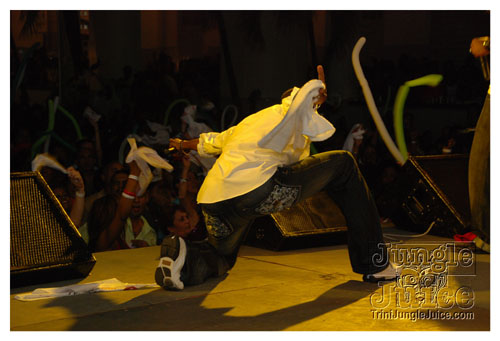 cic_all_incl_2008-076