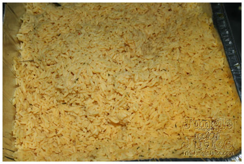 contagious3_nov26-045