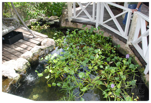 crack_of_dawn_aug1-002