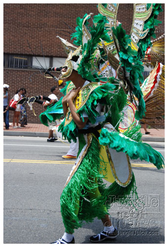 dc_carnival_2008_pt1-021