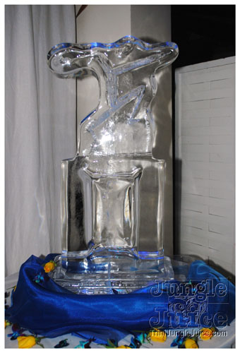 earth_member_life_launch_nov11-123