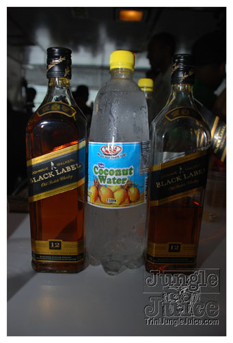 flight_cruise_apr08-133