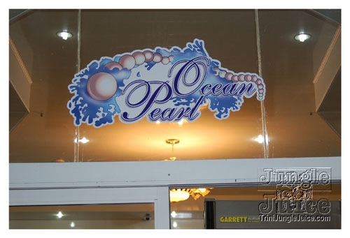 flight_cruise_may2k8-001