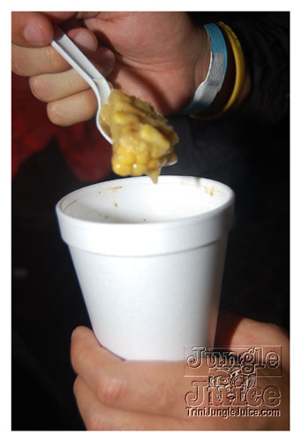 friends_miami_carnival_oct08-149