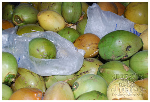 genx_jouvert_sept27-118