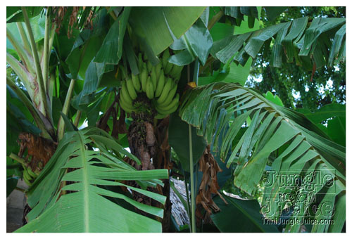 inferno_fridays_oct31-002