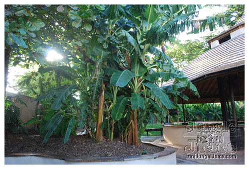 inferno_fridays_oct31-003