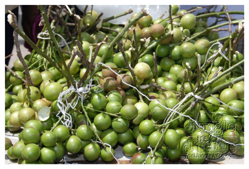 kadooment_day_2008_pt1-002