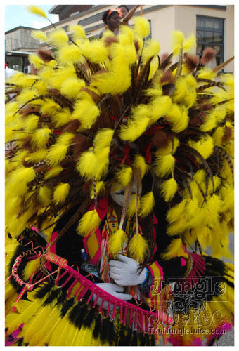 kadooment_day_2008_pt2-029