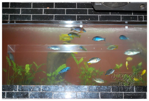 last_soulboy_trilogy_sept28-037