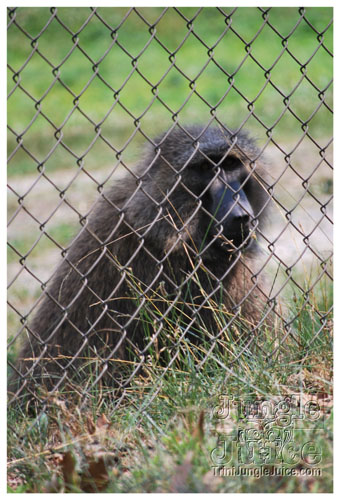 machel_sixflags_2008-002