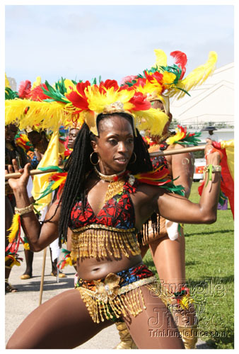 miami_carnival_2008_pt2-009