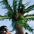 miami_carnival_2008_pt2-044
