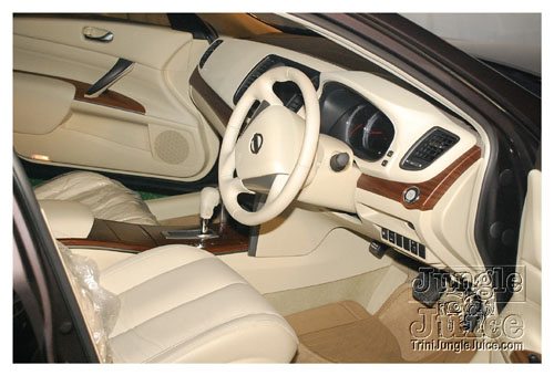 neal_massy_car_show_nov6-048