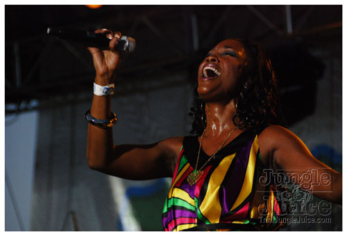 plymouth_jazzfest_2008_sun-050