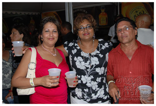 plymouth_jazzfest_2008_sun-135