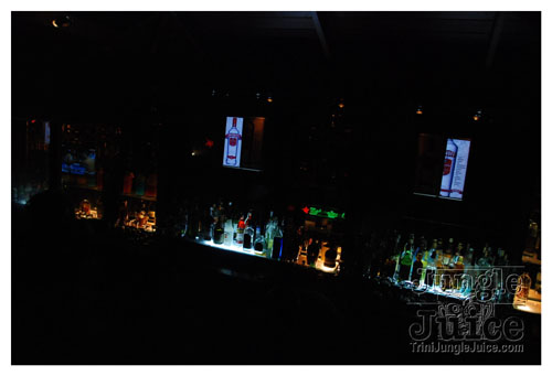 stlucia_jazz_2008_pulse_fri9-007